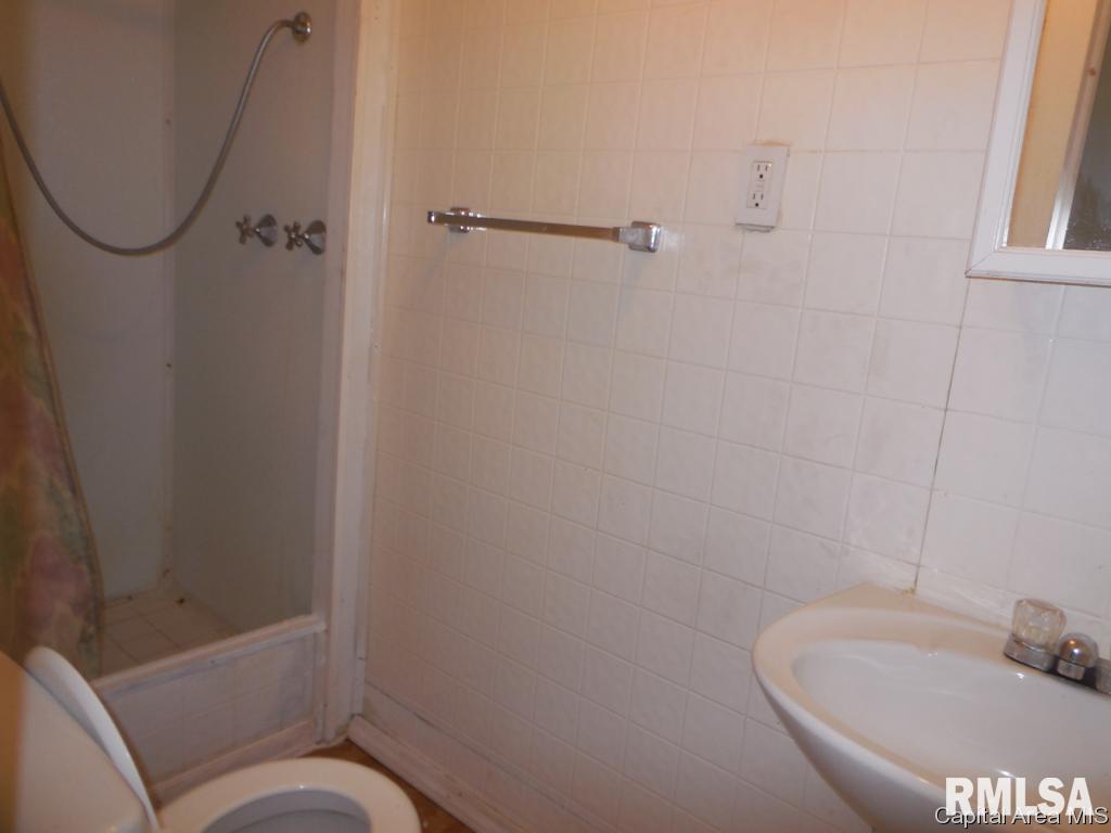 205 Morgan Street Manchester, IL 62082 - Photo 7 of 13 Gallery Image 7