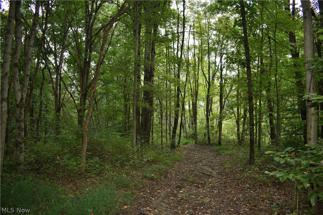 39700 Belmont Ridge Road Flushing, OH 43977 - Photo 16 of 31 Gallery Image 16