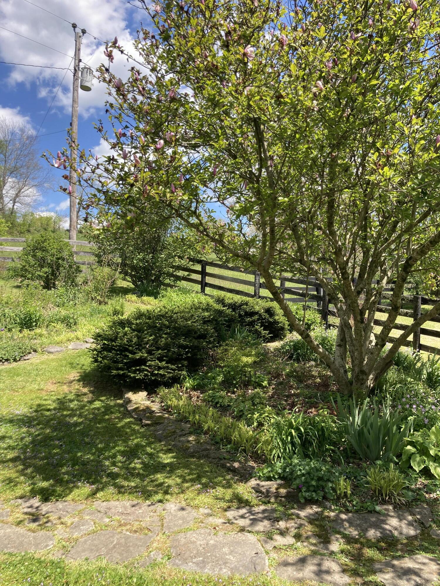 1000 Lebanon Road Frankfort, KY 40601 - Photo 10 of 55 Right Side Yard