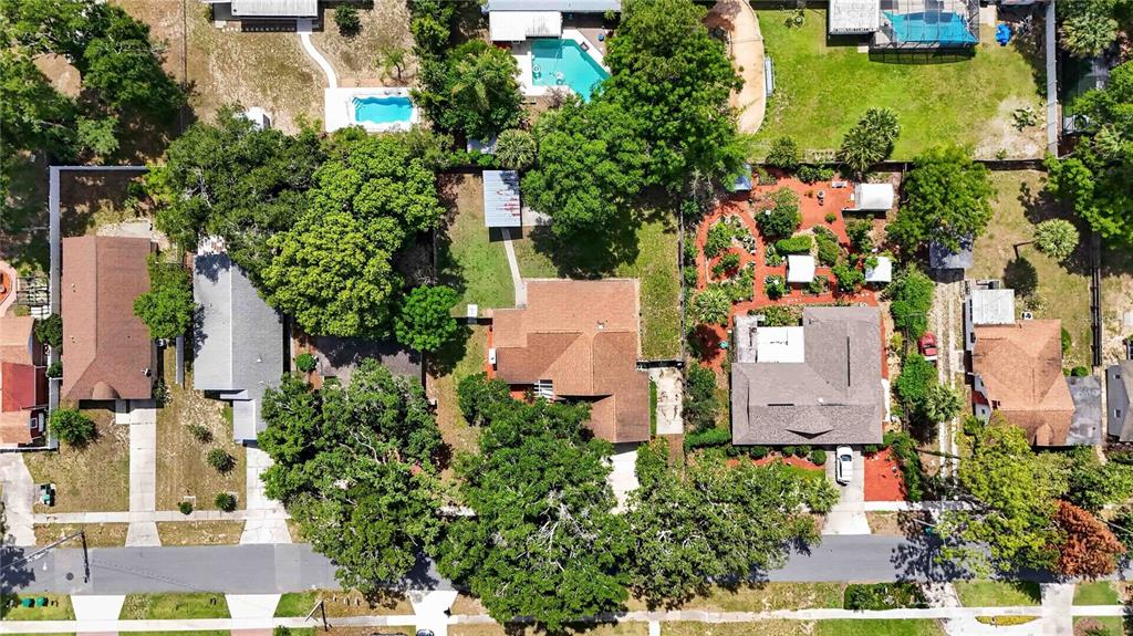207 Pinecrest Road Mount Dora, FL 32757 - Photo 6 of 40