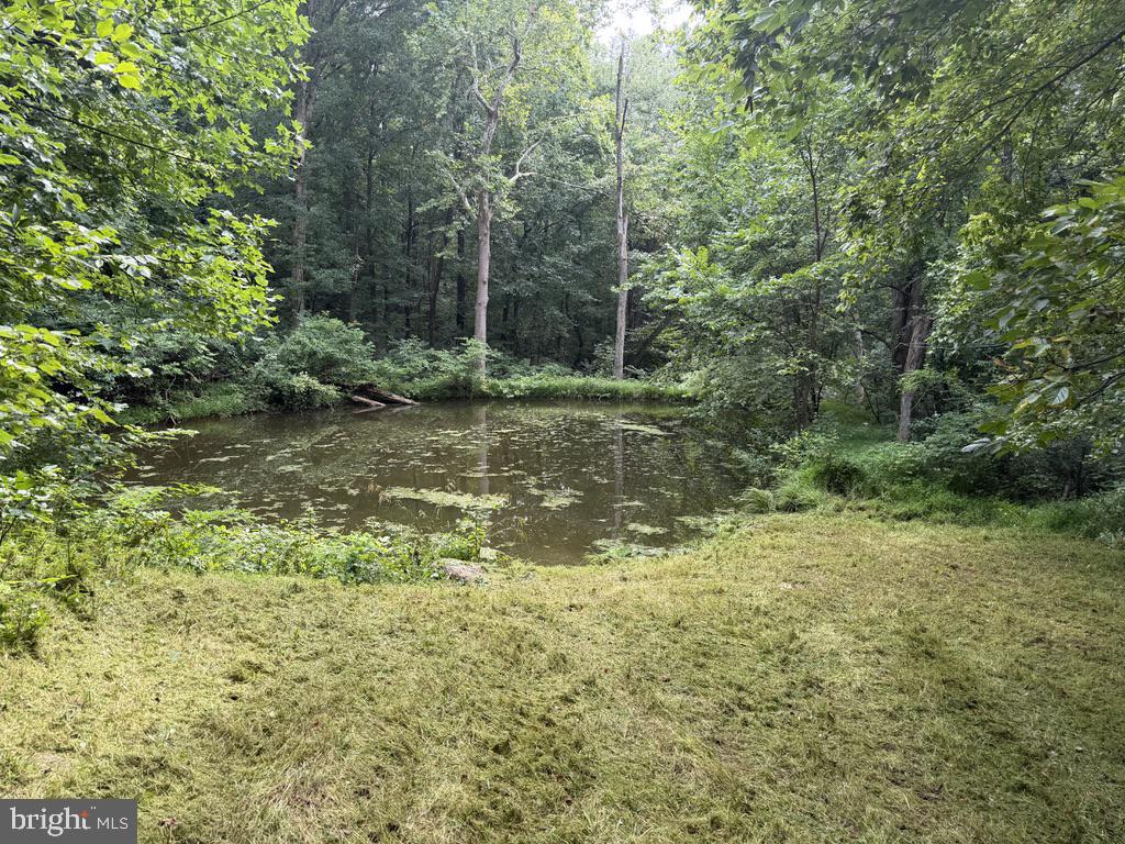 Jewell Hollow Road Luray, VA 22835 - Photo 12 of 23 Pond on the property