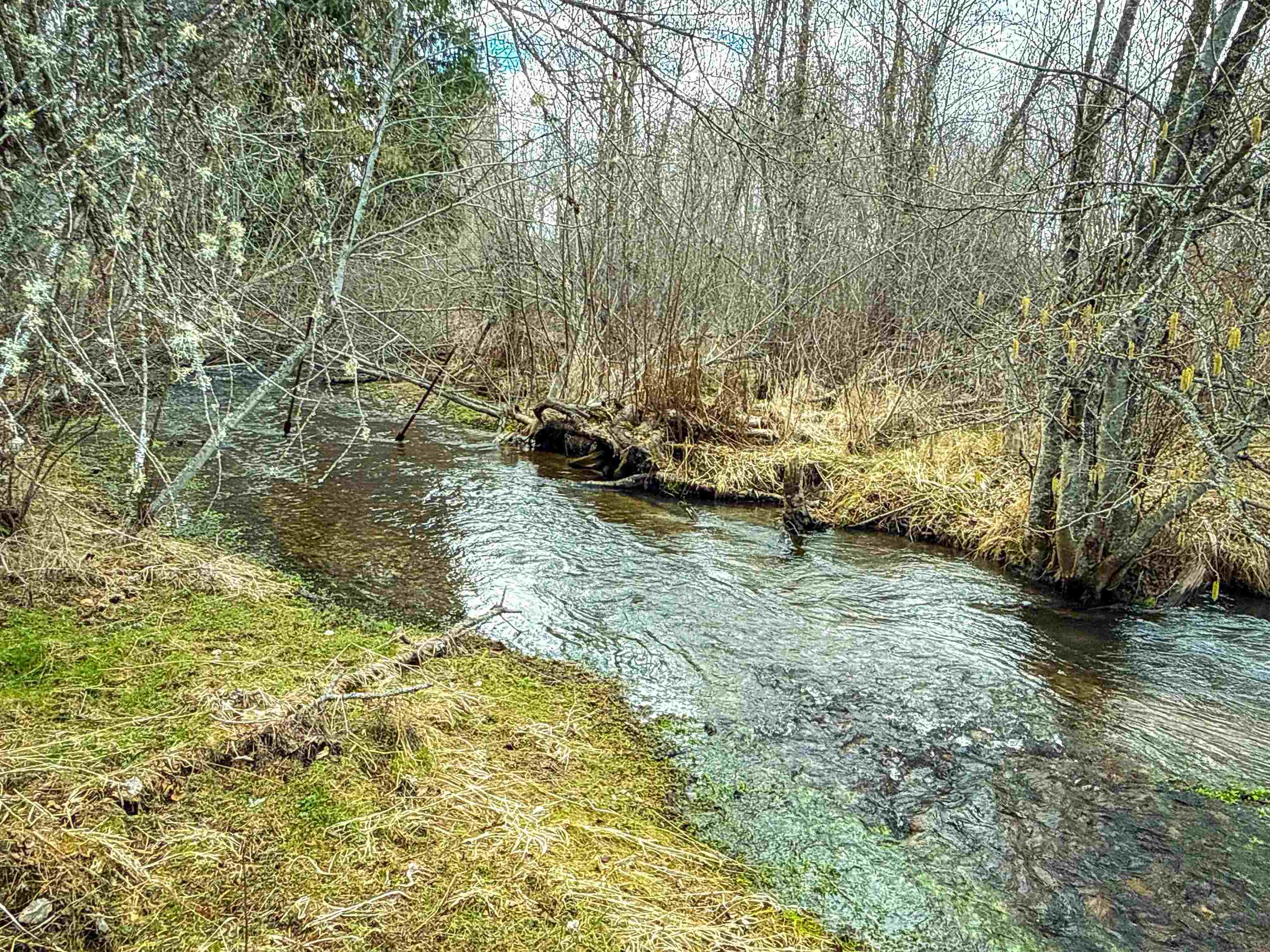 901 Skookum Creek Road Usk, WA 99180 - Photo 25 of 50