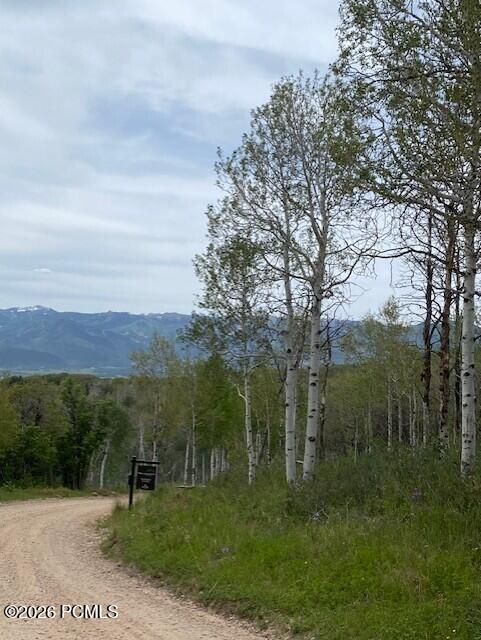 2604 South Forest Meadow Road Coalville, UT 84017 - Photo 6 of 28