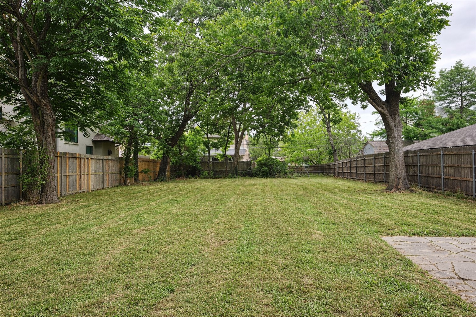 a view of a yard with a trees