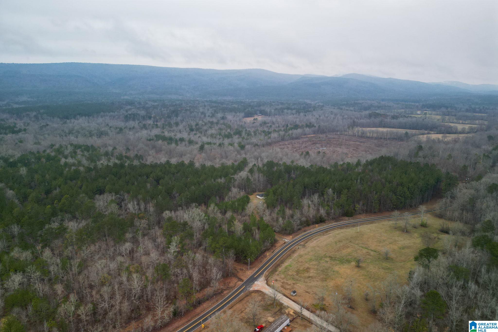 0 Highway 49 Lineville, AL 36266 - Photo 4 of 18