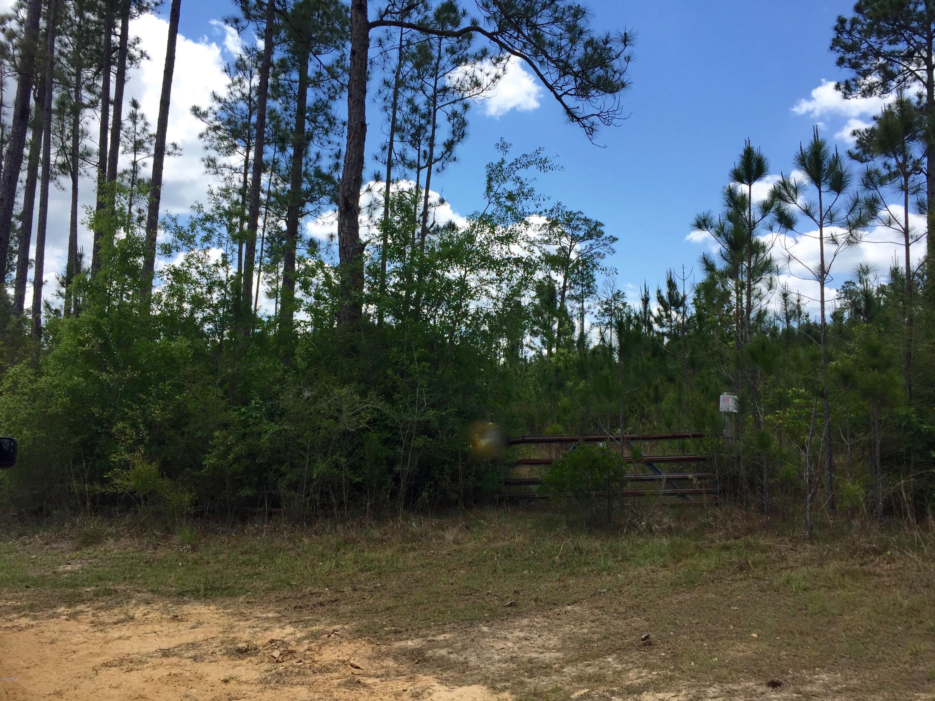 3 Runnymede Road Pass Christian, MS 39571 - Photo 1 of 2 IMG_2706 (1)