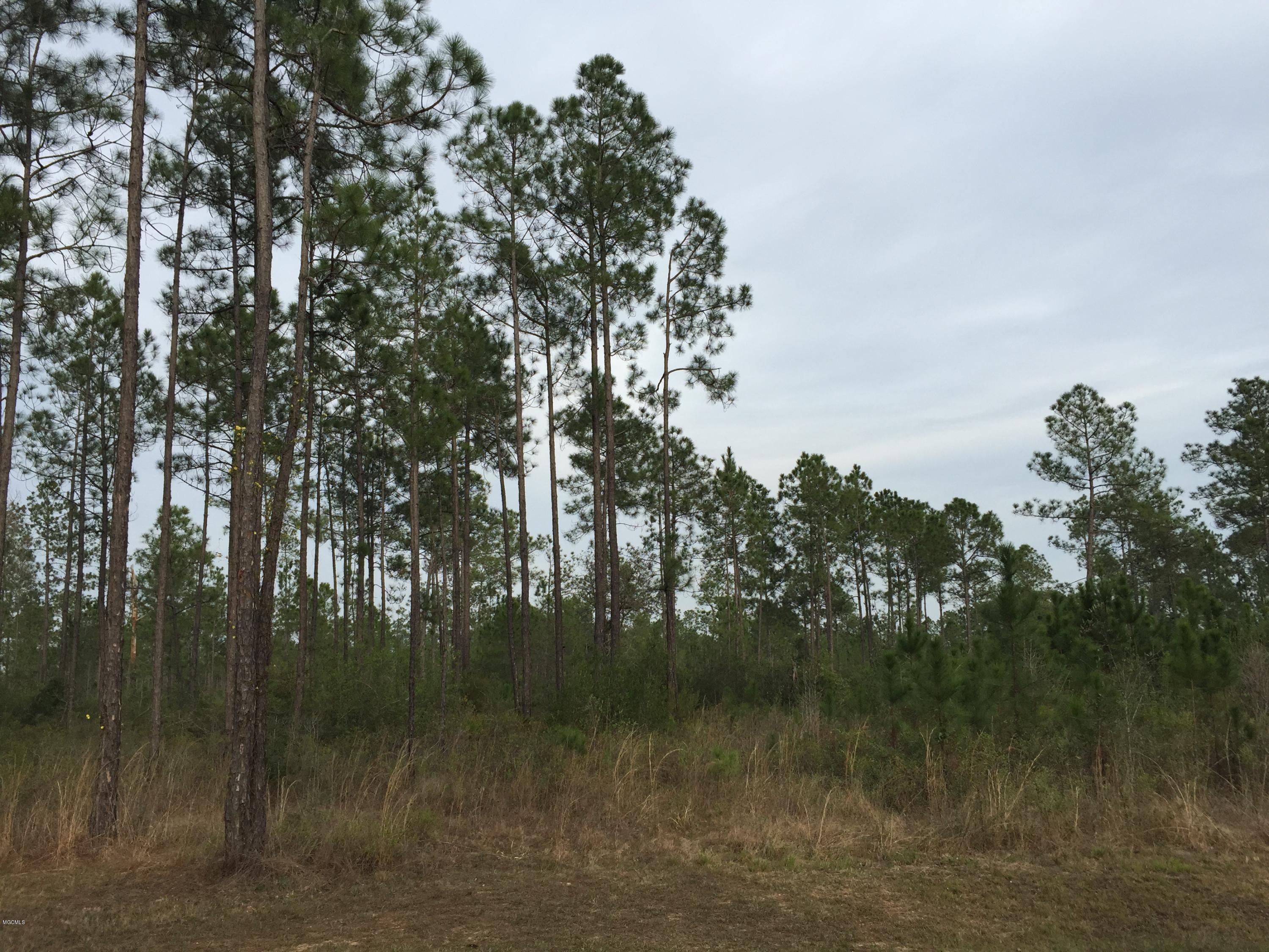 3 Runnymede Road Pass Christian, MS 39571 - Photo 2 of 2 IMG_1334