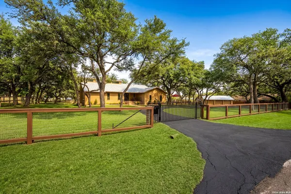 a view of a garden with trees