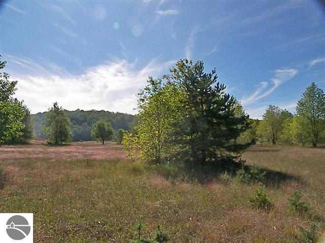Burdickville Road Maple City, MI 49664 - Photo 2 of 10 1819007-1.JPG