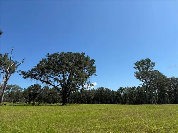 $537,975 | 6 Northwest 193rd Street, Reddick, FL 32686