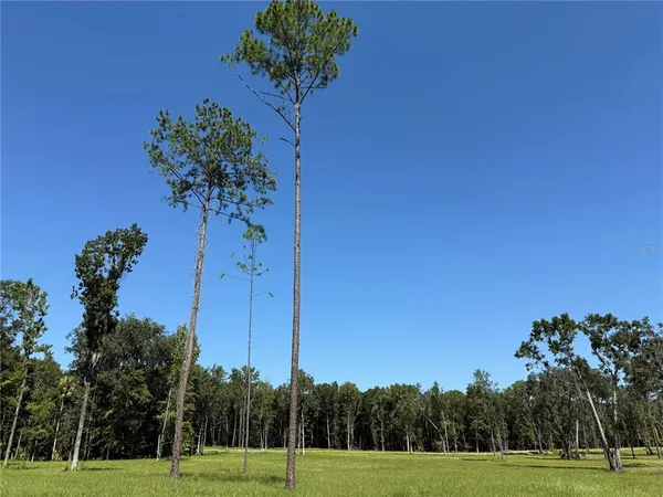 $537,975 | 6 Northwest 193rd Street, Reddick, FL 32686