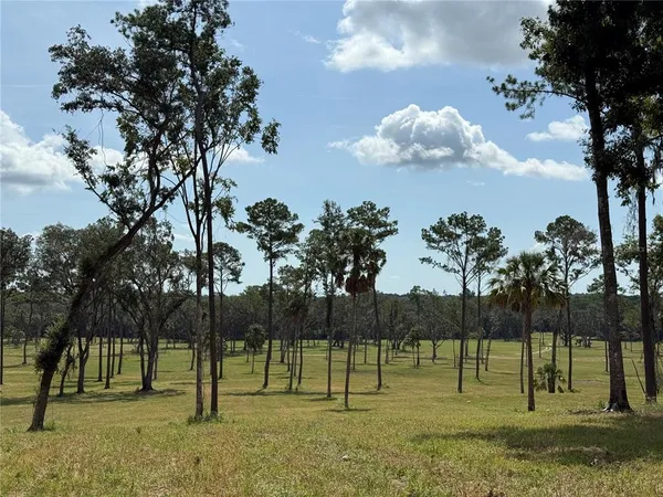 $537,975 | 6 Northwest 193rd Street, Reddick, FL 32686
