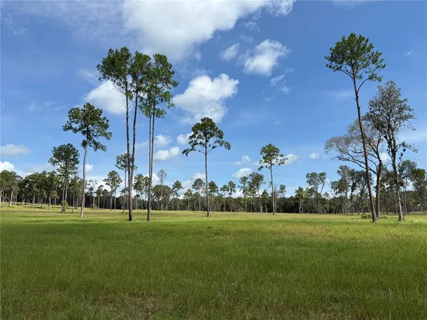 $537,975 | 6 Northwest 193rd Street, Reddick, FL 32686