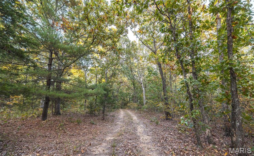 10005 Fulton Road Bourbon, MO 65441 - Photo 21 of 35