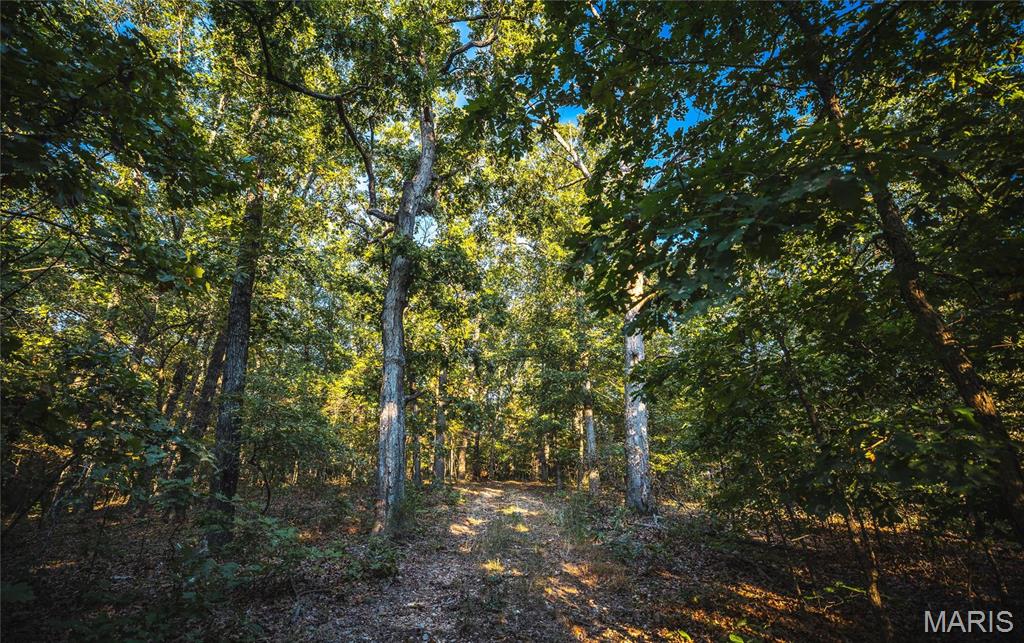 10005 Fulton Road Bourbon, MO 65441 - Photo 22 of 35