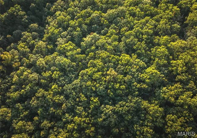 $129,000 | 10005 Fulton Road, Bourbon, MO 65441