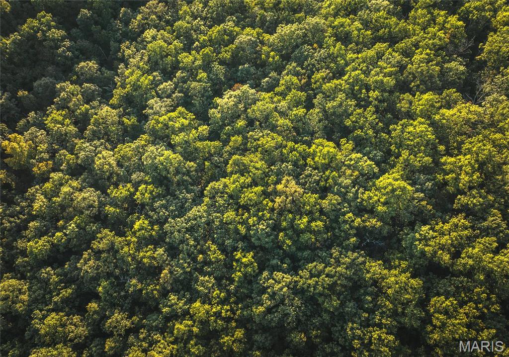 10005 Fulton Road Bourbon, MO 65441 - Photo 24 of 35