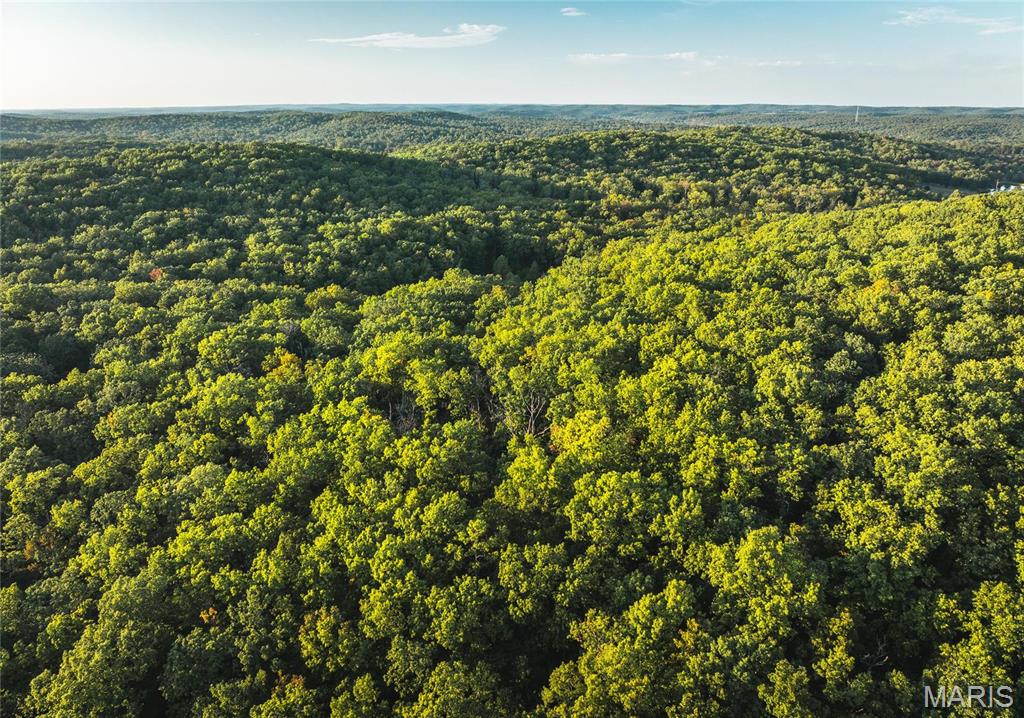10005 Fulton Road Bourbon, MO 65441 - Photo 25 of 35