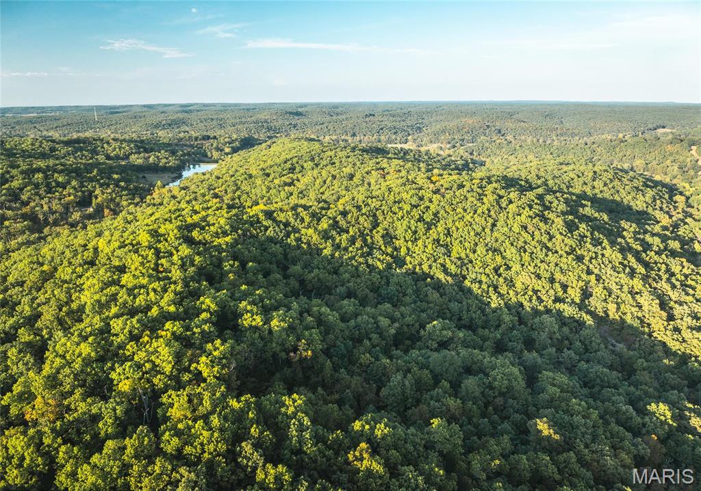 10005 Fulton Road Bourbon, MO 65441 - Photo 27 of 35