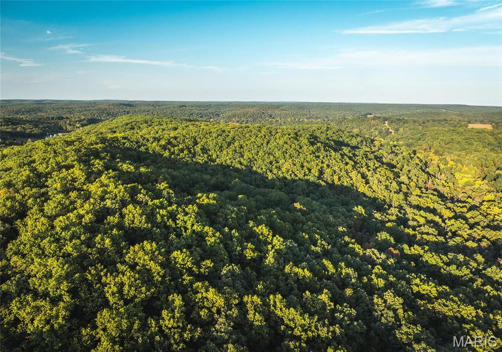 10005 Fulton Road Bourbon, MO 65441 - Photo 29 of 35