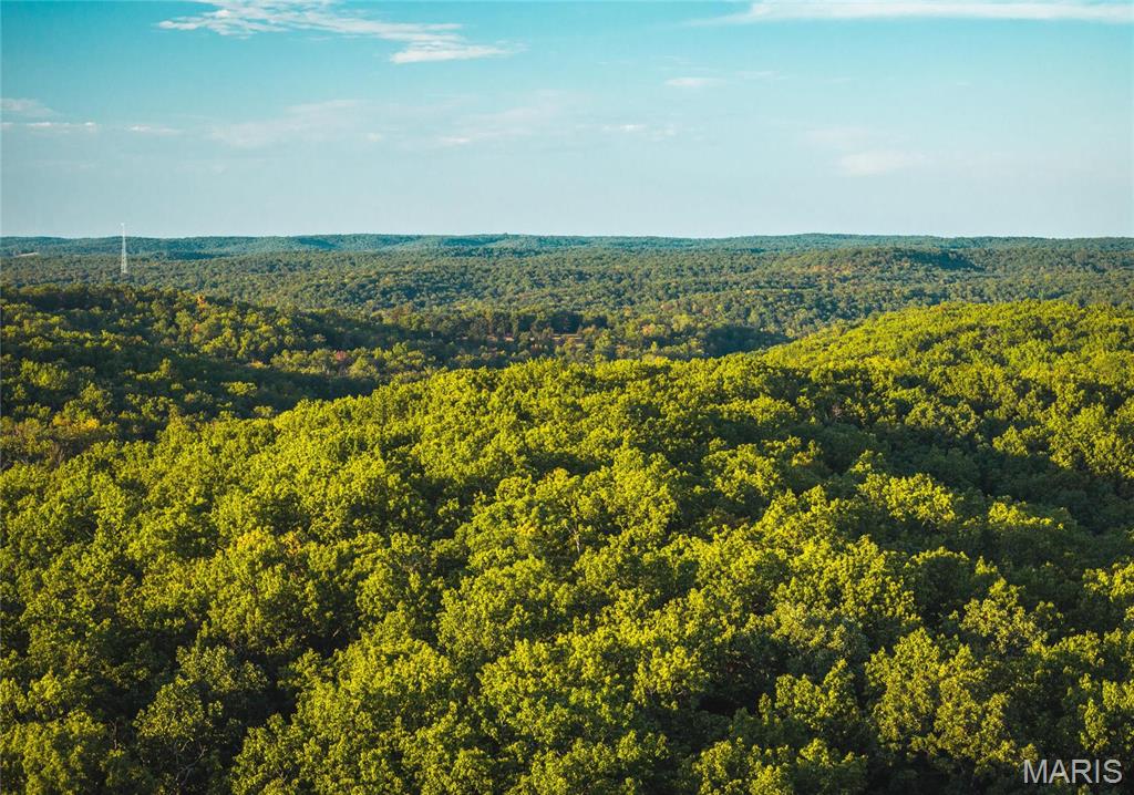 10005 Fulton Road Bourbon, MO 65441 - Photo 30 of 35