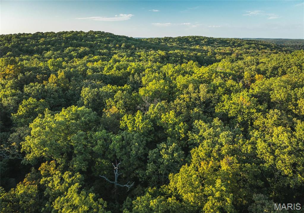 10005 Fulton Road Bourbon, MO 65441 - Photo 33 of 35