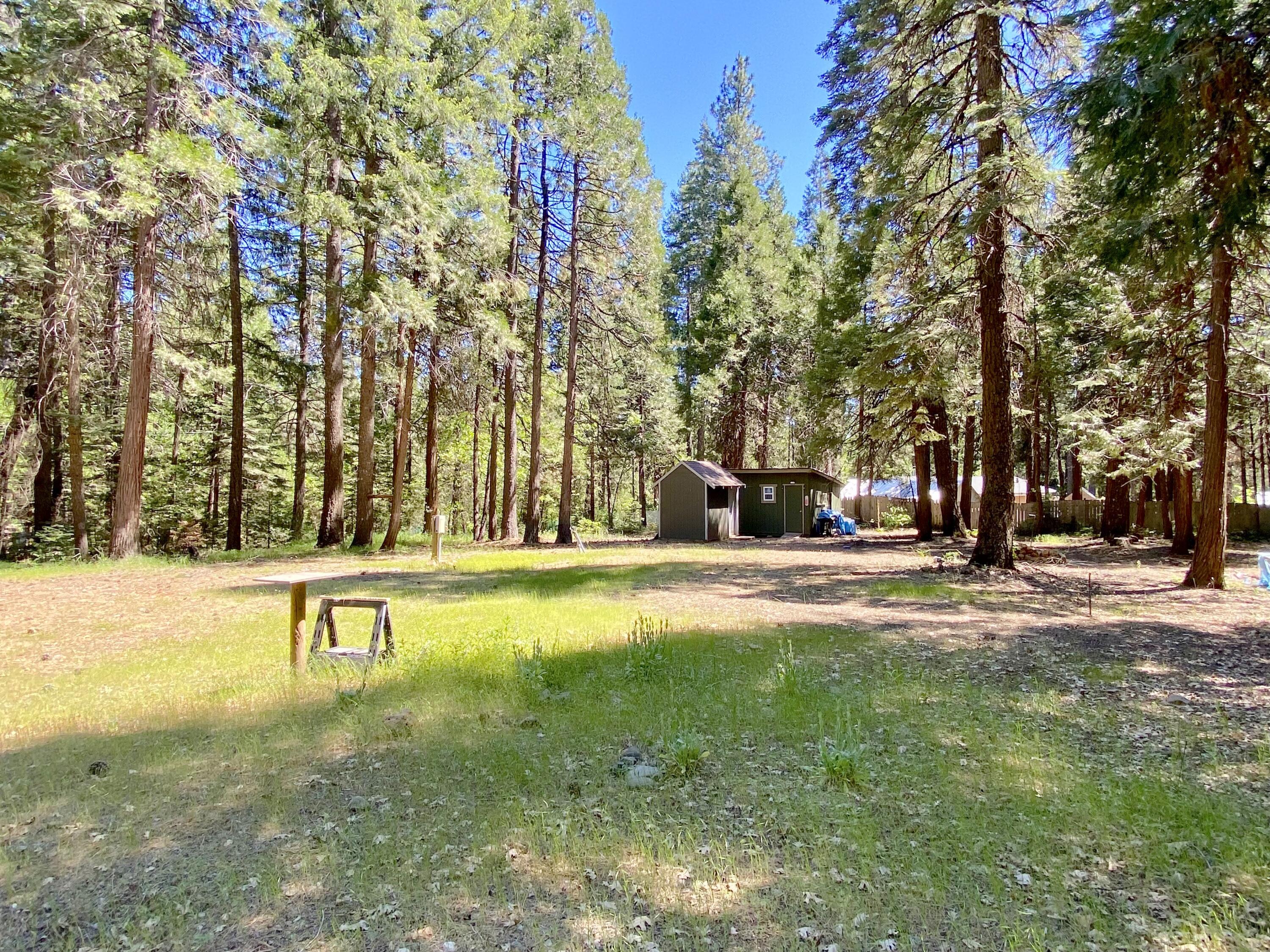 33117 Sites Road Shingletown, CA 96088 - Photo 4 of 23 a view of a swimming pool with lawn chairs and large trees