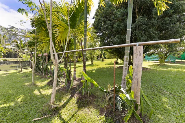 a view of swimming pool with a back yard