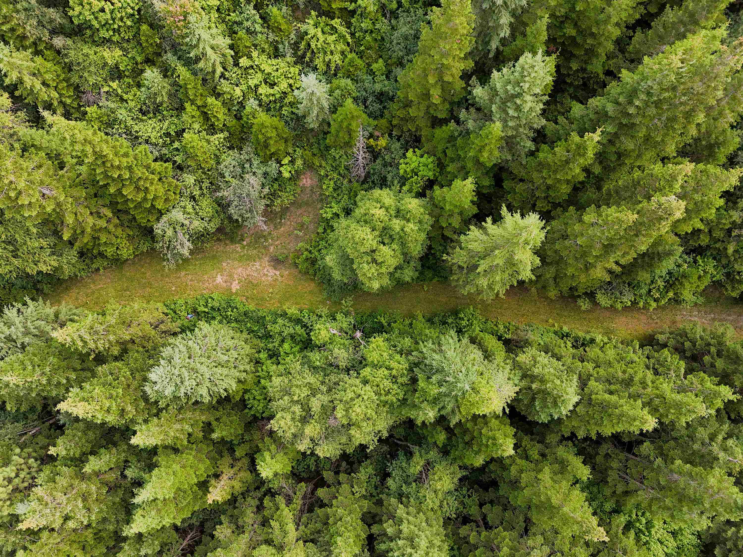 28251 LeClerc Road North Ione, WA 99139 - Photo 20 of 33