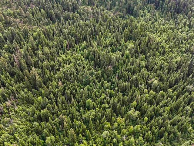 $340,000 | 28251 LeClerc Road North, Ione, WA 99139