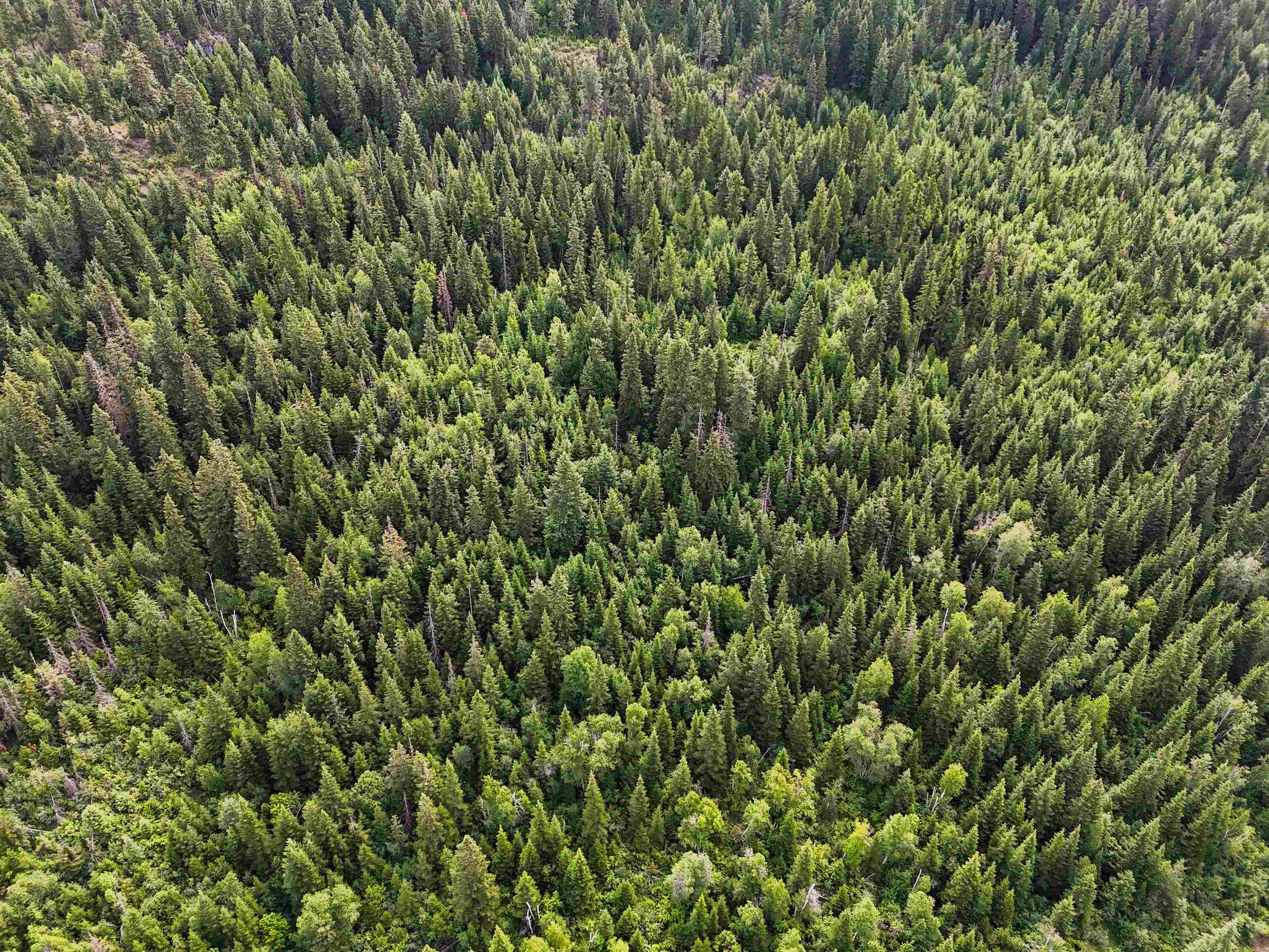 28251 LeClerc Road North Ione, WA 99139 - Photo 21 of 33