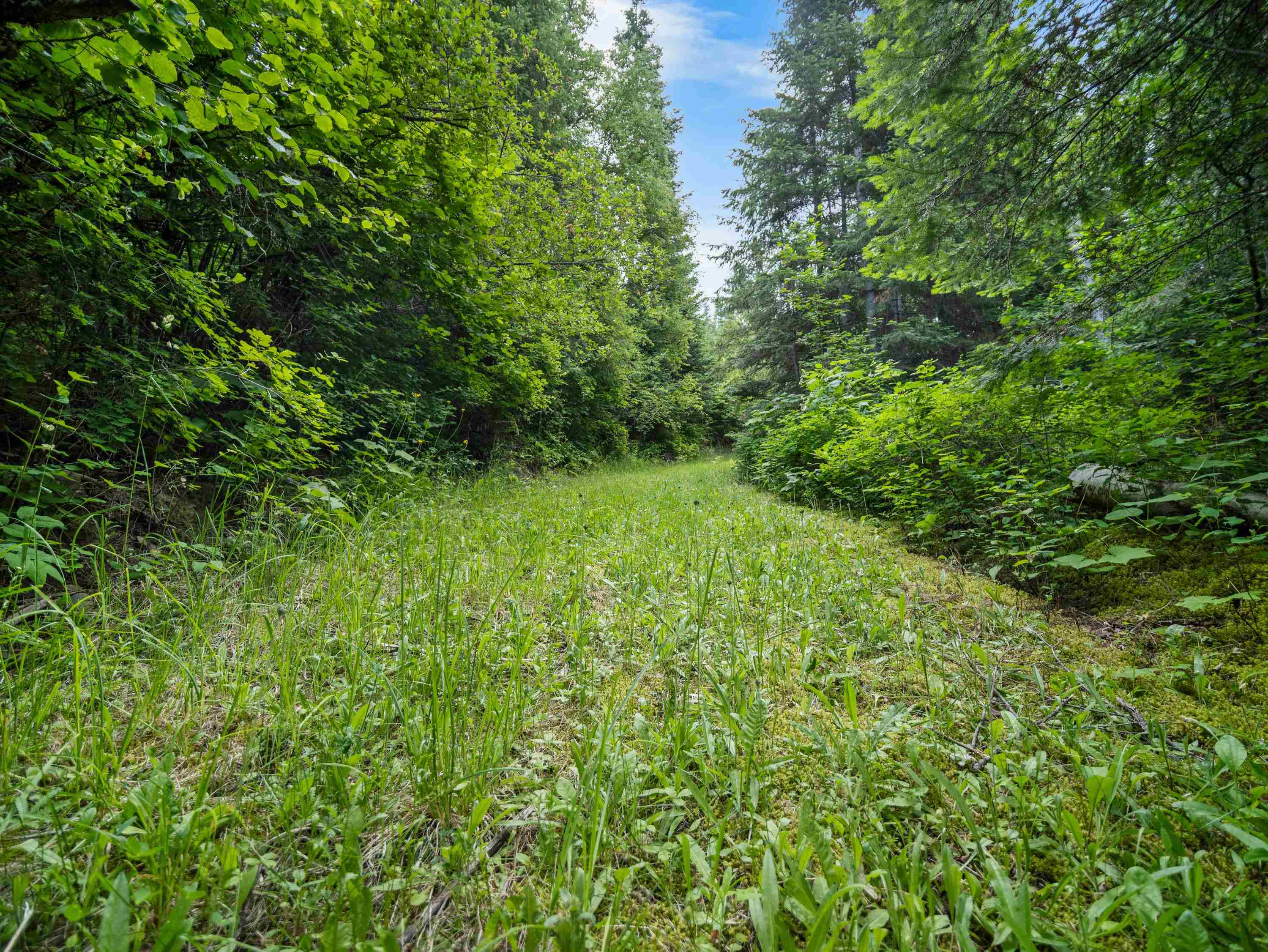 28251 LeClerc Road North Ione, WA 99139 - Photo 32 of 33