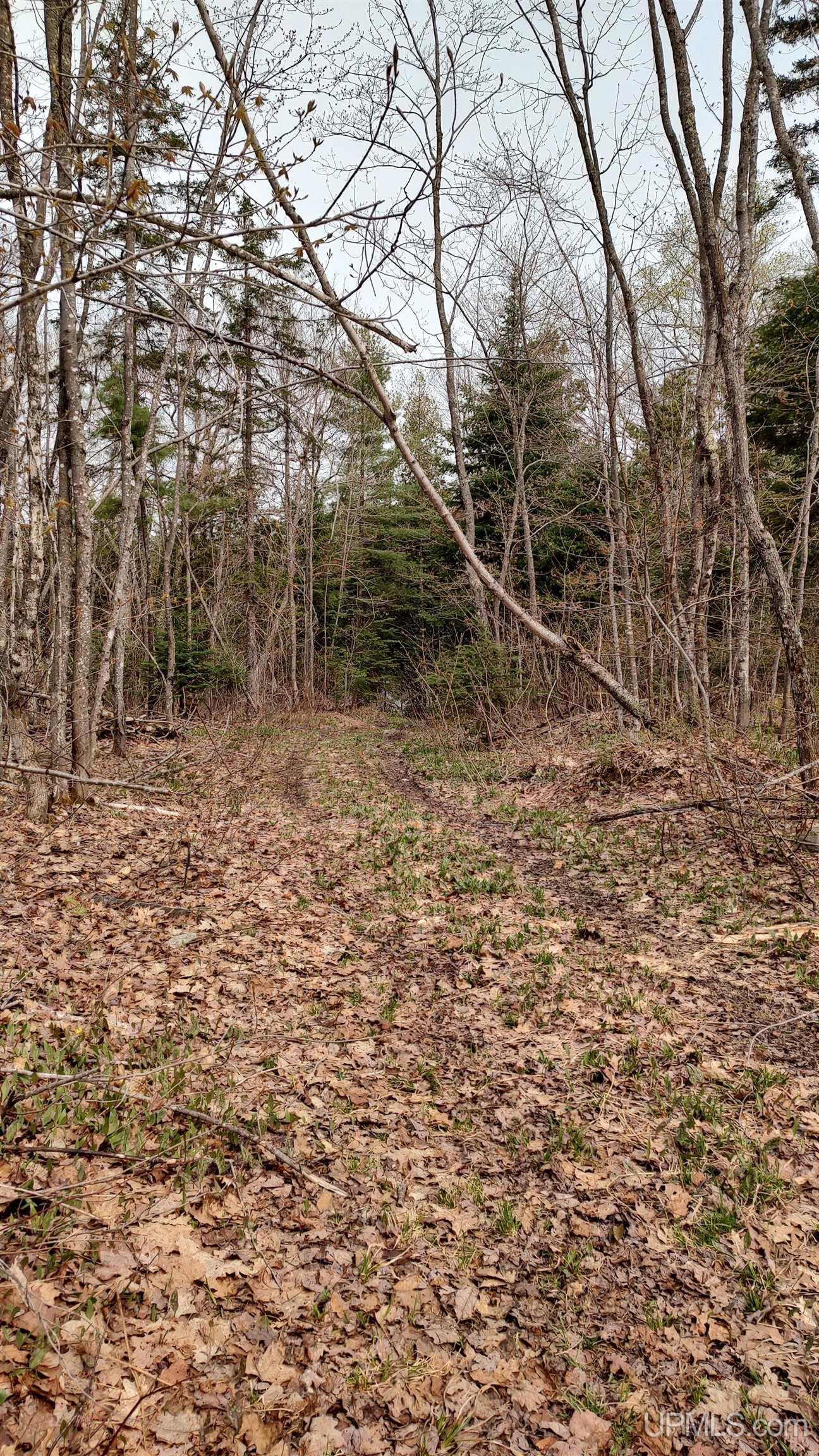 Tbd Tbd Durchman Lake Road Lanse, MI 49946 - Photo 29 of 56
