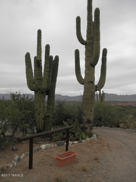16201 Redington Road Benson, AZ 85602 - Photo 29 of 30 Gallery Image 29