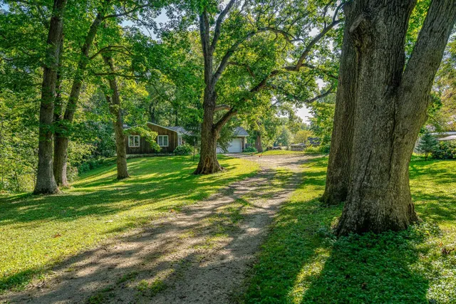a view of a yard with a tree