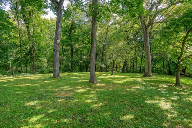 a view of a grassy field with trees in the background