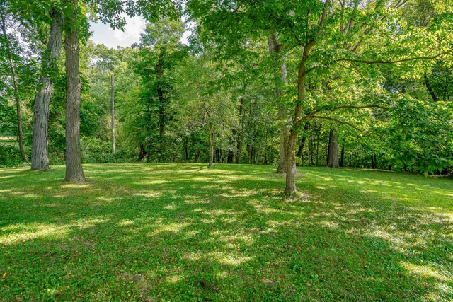 a backyard of a house with lots of green space