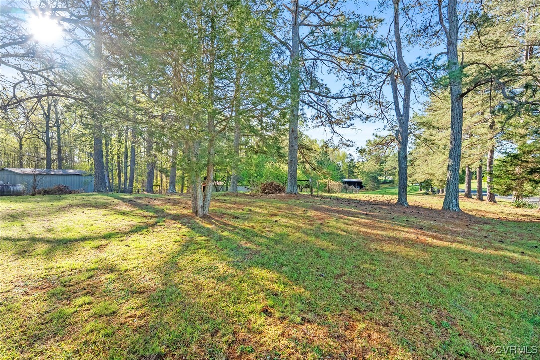 5290 Crumptown Road Farmville, VA 23901 - Photo 27 of 43 a view of yard with trees