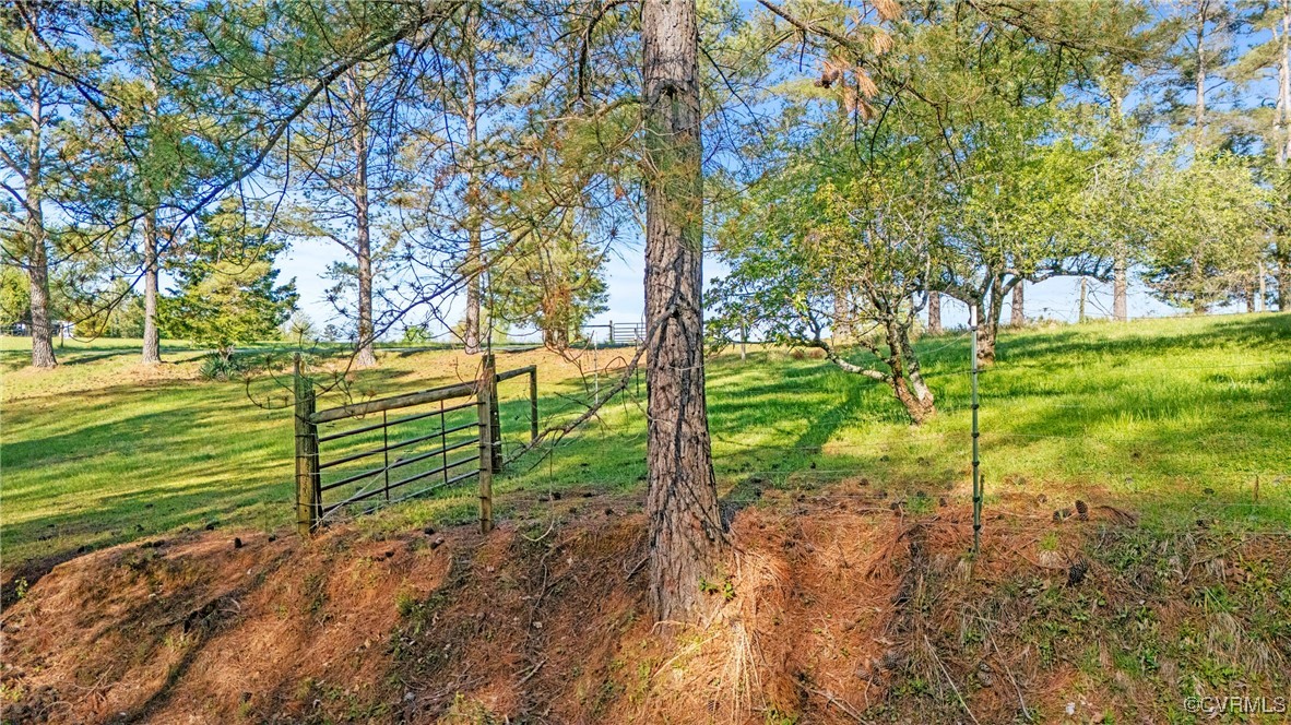5290 Crumptown Road Farmville, VA 23901 - Photo 43 of 43 a view of a yard with plants and trees