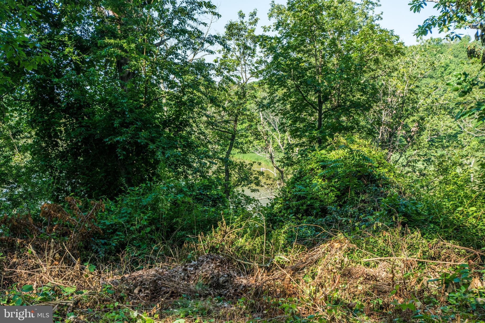 2712 Riverview Drive Riva, MD 21140 - Photo 29 of 34 Back of yard with water view through the trees.