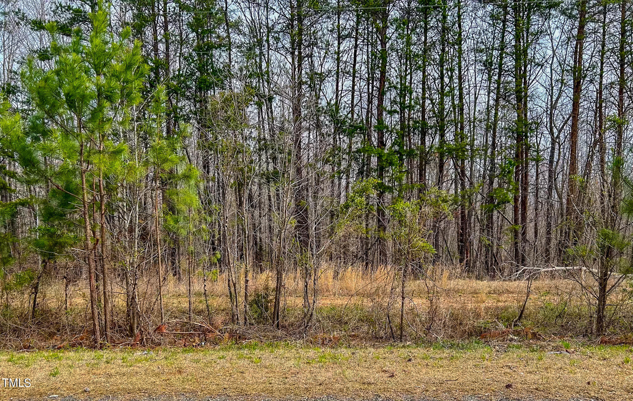 Lot 7 Streets Store Road Roxboro, NC 27574 - Photo 4 of 15 IMG_3453
