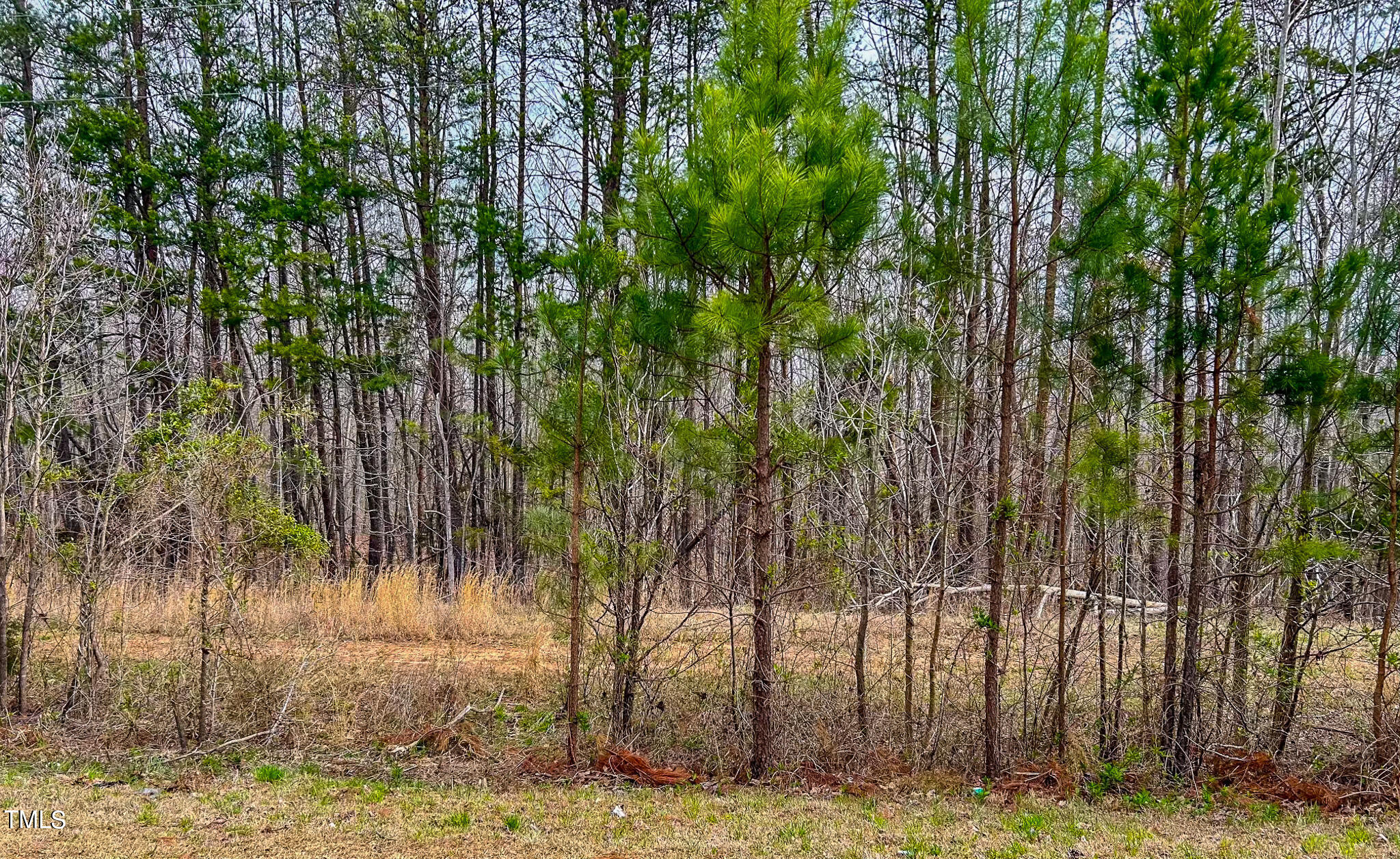 Lot 7 Streets Store Road Roxboro, NC 27574 - Photo 6 of 15 IMG_4244