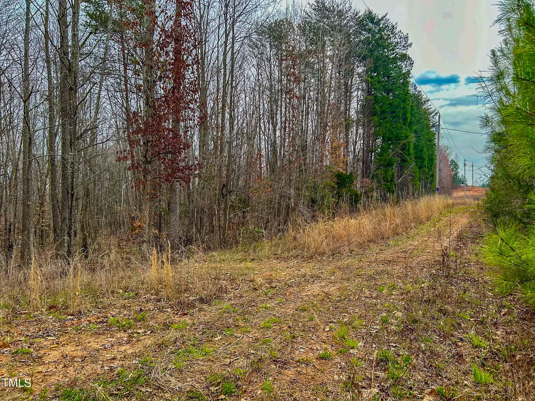 Lot 7 Streets Store Road Roxboro, NC 27574 - Photo 8 of 15 IMG_9717
