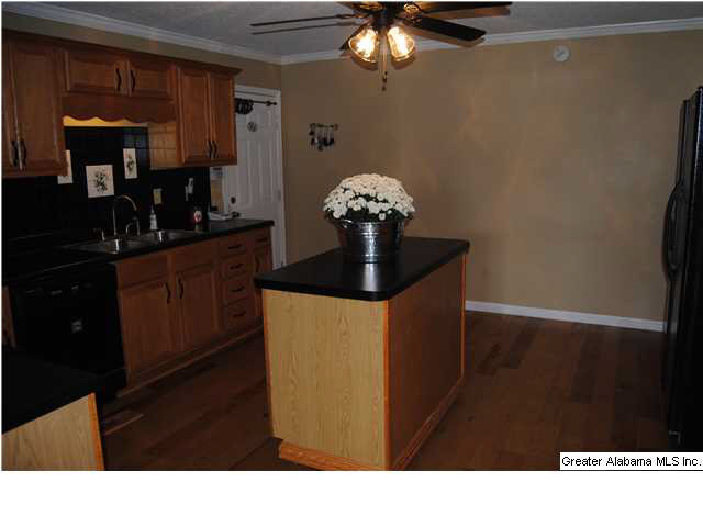 6405 Mays Bend Road Pell City, AL 35128 - Photo 9 of 21