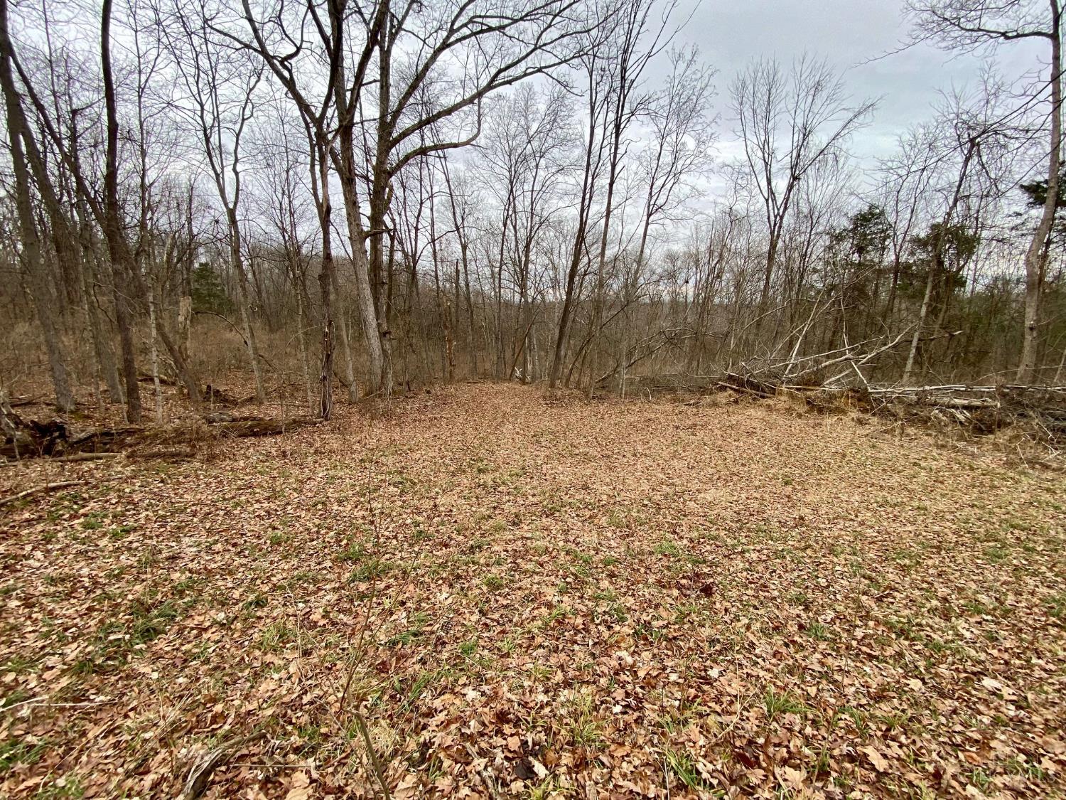 Ac Buckley Road Hillsboro, OH 45133 - Photo 17 of 26 Gallery Image 17