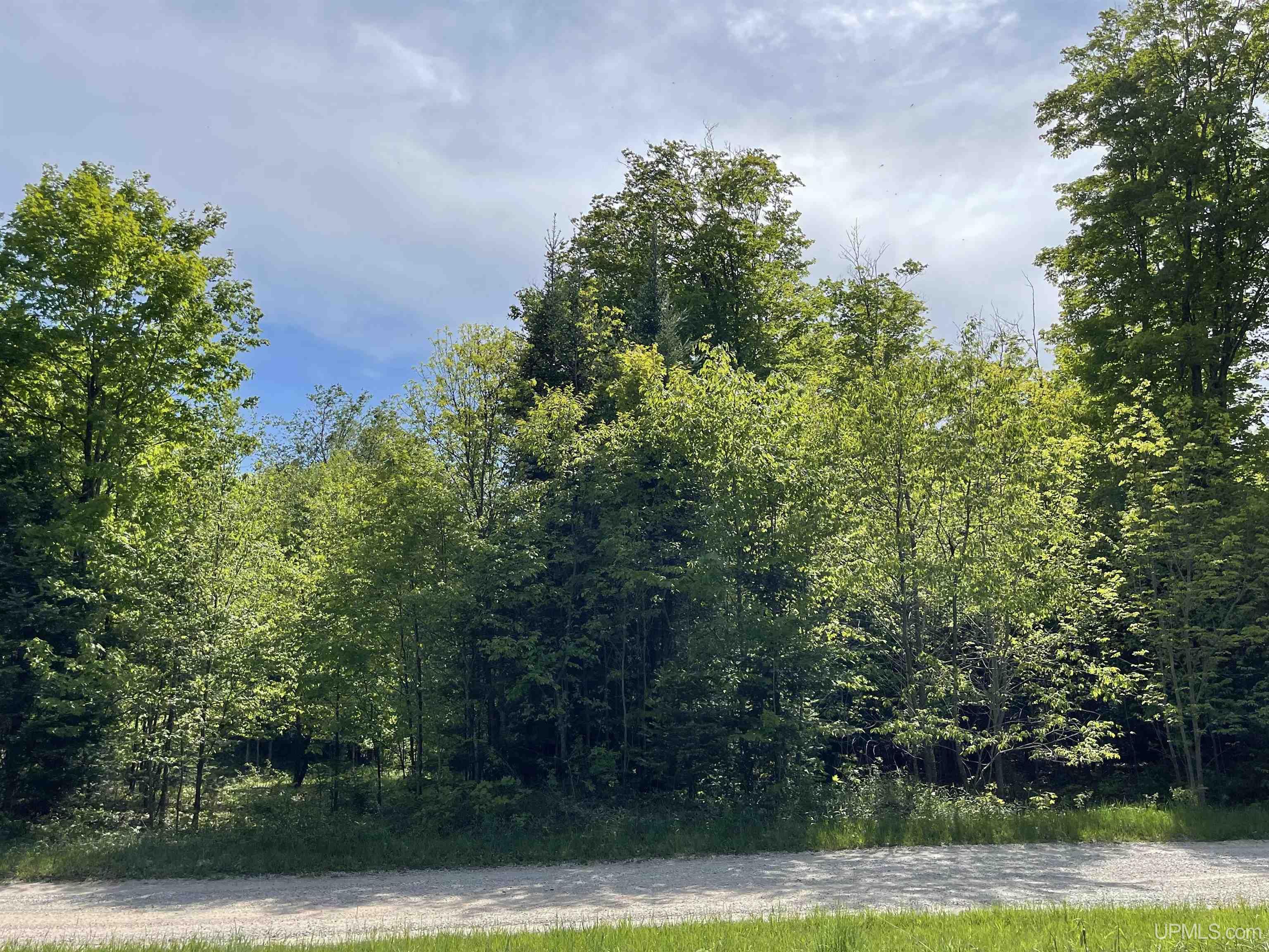 4855 N Camp 23 Road Germfask, MI 49836 - Photo 25 of 28