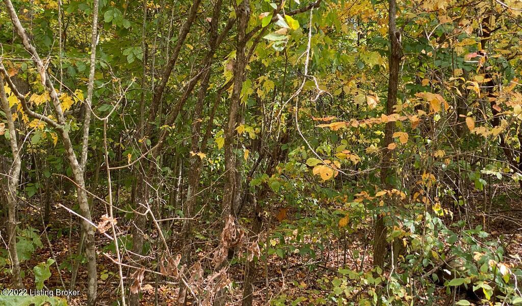 L57 Ted Logsdon Road Clarkson, KY 42726 - Photo 15 of 21 River View Fall284
