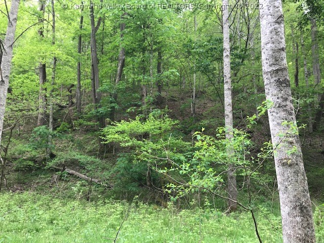 3456 Balls Branch Road Culloden, WV 25510 - Photo 13 of 14 Gallery Image 13