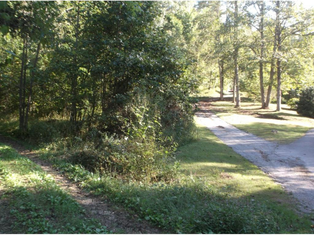 Tr1 Gard Banner Road Erwin, TN 37650 - Photo 1 of 8 Photo 1