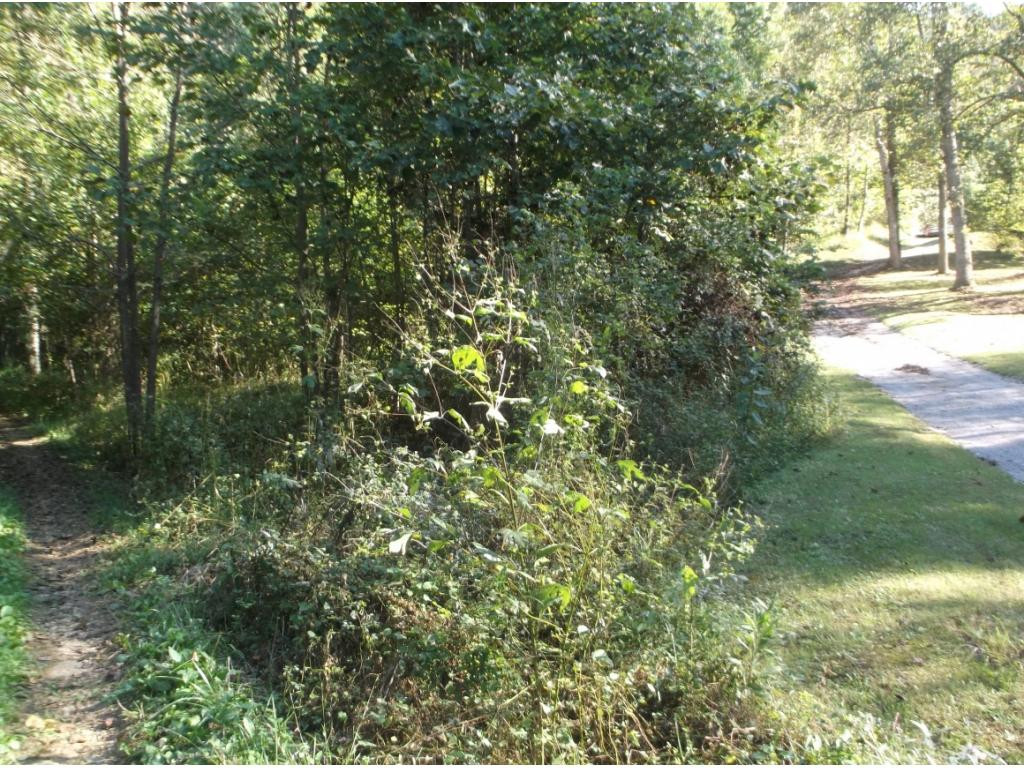 Tr1 Gard Banner Road Erwin, TN 37650 - Photo 3 of 8 Photo 3